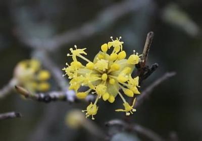 自己太傻的句子(80句)