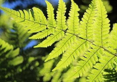 舒缓心情的句子(优选40句)