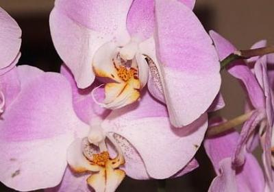 自己承担后果的句子(10句)