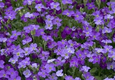 致自己的简短唯美句子(汇总70句)