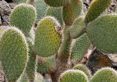 英姿飒爽的句子(实用60句)