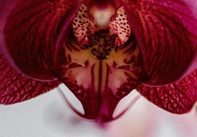 自我欺骗的句子(合集40句)