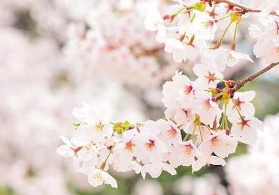 自己难过的句子(共76句)