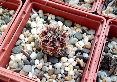 自讨没趣的经典句子(热门60句)