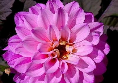 舍不得的句子说说心情(汇总50句)