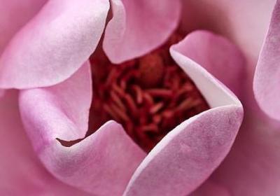 苦日子熬过去的句子(汇总50句)