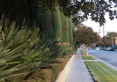 英文交流最基本的句子(精选50句)