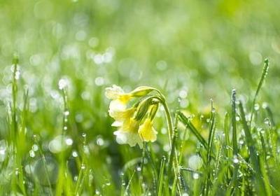 自己照顾好自己的句子(推荐51句)