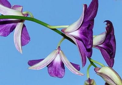 自私的爱情句子(热门80句)