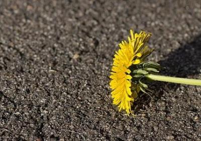 自己恨自己的句子(热门66句)