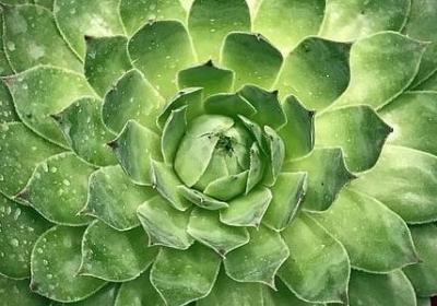 自己害自己的句子(优选90句)