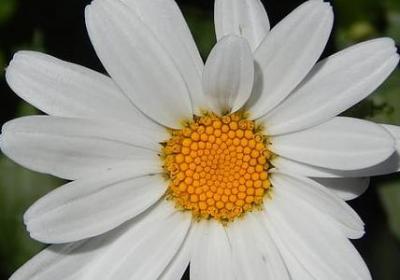 英文鼓励人的句子(共68句)