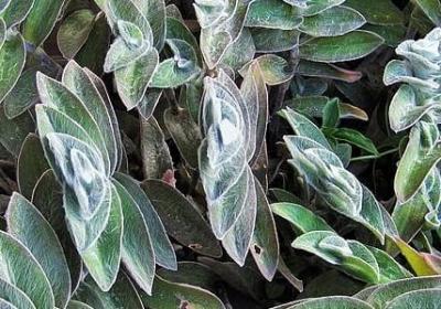 自由生活的句子(必备20句)