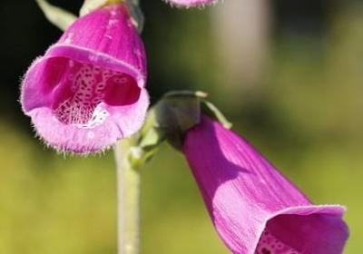 英文骂人的句子越毒越好(必备70句)