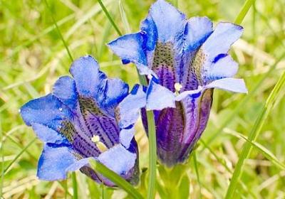 自我改变的句子(精选60句)