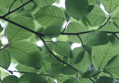 舍不得朋友的句子(汇总70句)