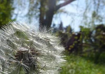 自己没本事还抱怨别人的句子(合集40句)