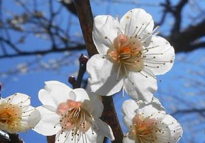 自我安慰鼓励的句子(精选20句)