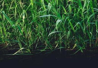 舍不得离开爱人的句子(热门77句)