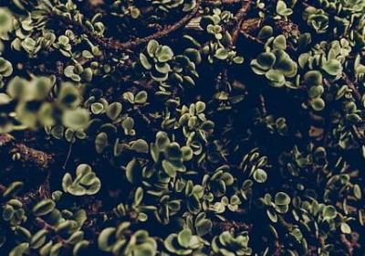 致我的爱人唯美句子(必备40句)