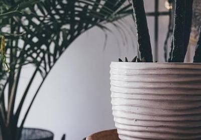 自己鼓励自己的句子(共70句)