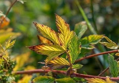 自找的痛就别喊疼句子(10句)