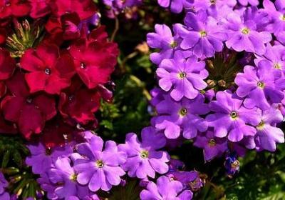 自我鼓励的句子(推荐70句)