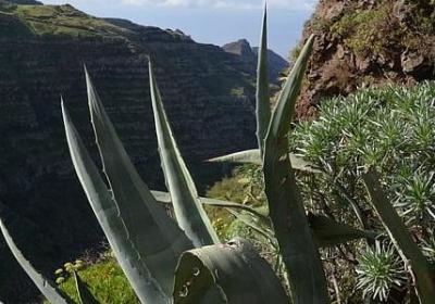 致青春句子简短的励志(合集40句)