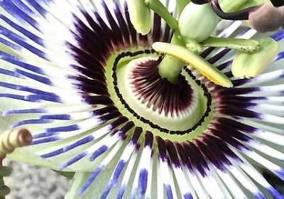 舍不得你走的句子(推荐38句)