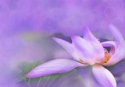 致我们终将逝去的青春经典句子(40句)