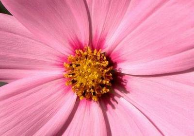 自己爱自己的句子(实用90句)