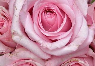 自我沉淀的经典句子(共40句)