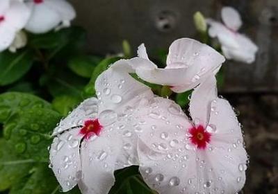 自由飞翔的句子(70句)