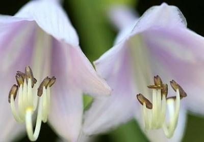 自己能力不足的句子(合集40句)