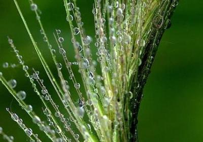 艰苦奋斗的句子(热门60句)