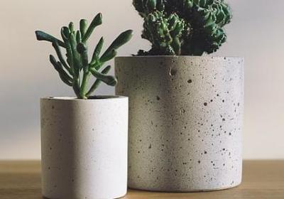 花的赞美句子(推荐50句)