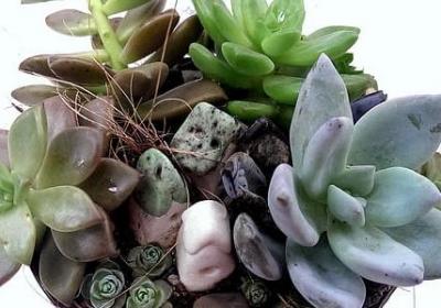 自我调侃的句子(热门50句)