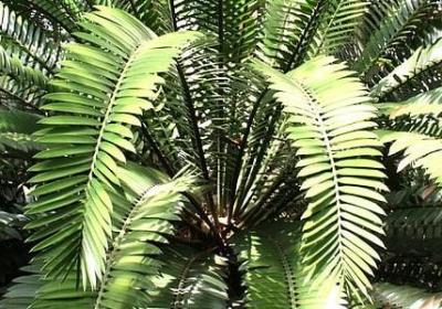 自私的经典句子(推荐40句)