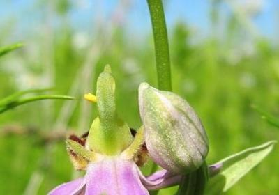 苦的句子(实用50句)