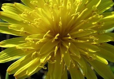 英文问好的句子(精选115句)