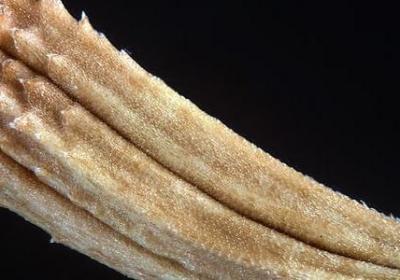 舍不得一个人走的句子(推荐60句)