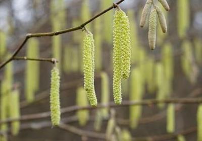 自己成长的句子(合集60句)