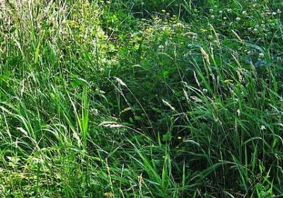 苦涩的句子(热门60句)