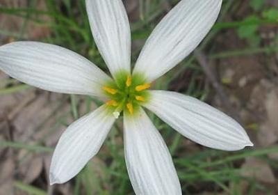 自己对自己好点的经典句子(通用50句)