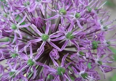 自己开心的句子(必备60句)