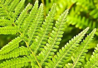 致敬经典的句子(合集40句)