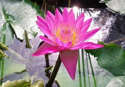 行走的句子(合集50句)