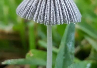 莎士比亚最经典的句子(必备40句)