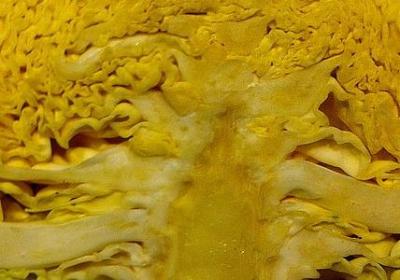 表示心情愉快的句子(必备80句)