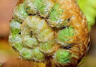 仿写雨说的句子(通用45句)